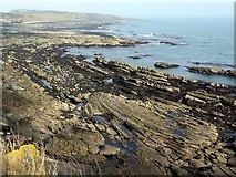 NU2517 : Howick rocky shore by Andrew Curtis