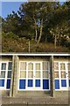 Beach huts overlooked by a pine tree