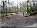 Track (footpath) into Wheata Wood