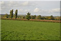 ST6031 : Farmland near Alford by N Chadwick