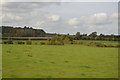 ST5429 : Near Newlands Farm by N Chadwick