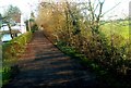 Lane opposite Kissing Tree Lane