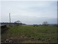 SK3098 : Crop field off Woodhead Road by JThomas