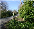 Rusper Road from the entrance to Melton Hall Farm