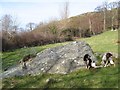 Glacial erratic boulder