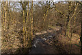 Sabden Brook upstream from Read Old Bridge