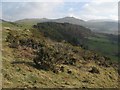 View to Coed y rhiwiau