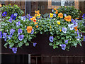 Flowers at the Blacksmith Arms, Rotherhithe Street, London SE1