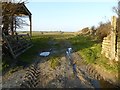 Field entrance and barn