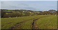 The view north across the fields