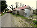 Farm buildings along Curly Road