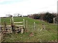 Llwybr Bryn Gelli / Bryn Gelli path