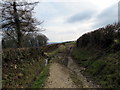 Llwybr Ceffyl / Bridleway