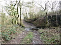 Llwybr Bryn Gelli Path