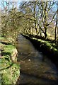 Looking Up Barlewan Burn