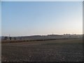 Field by Hill End Farm, Farmoor