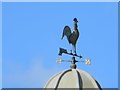 Weather Vane on Manor Court