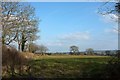 Field near Broadleaf Farm