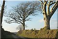 Farm lane to Higher Horslett