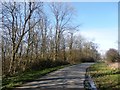 Lane adjoining Burton Wood