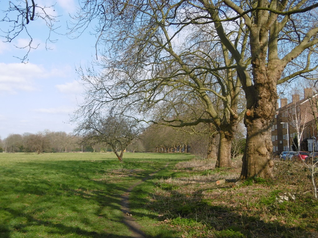 Wanstead Flats © Marathon ccbysa/2.0 Geograph Britain and Ireland