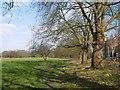 Wanstead Flats