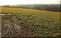 Field near Parrs Leigh