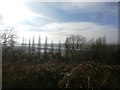 The River Trent viewed from the Cliff Top Path