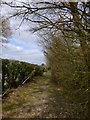 Sussex Border Path heads north east beside Horley Road