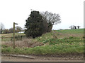 TM0581 : Footpath to the A1066 Diss Road by Geographer