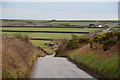 North Devon : Country Lane