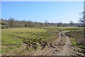 Farm track near Derriton