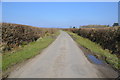 Lane at West Yeomadon