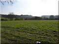 Fields near West End Farm