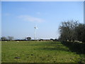 Wind turbine with sheep