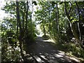 Darras Hall railway trackbed