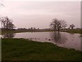 Flooded fields at Springbank Farm 