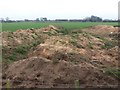 SJ7662 : Dumped soil at Brindley Green Farm by Stephen Craven