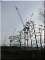 SP5005 : Cranes over the Westgate by Bill Nicholls