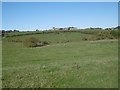 Field, Stamfordham