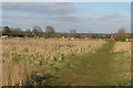 Footpath to Kennel Farm