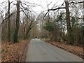 Letter Box Lane, Sevenoaks Common