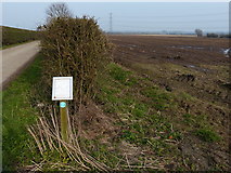 SK6644 : Lane and farmland near Bulcote by Mat Fascione