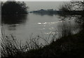 SK6643 : The River Trent near the Burton Meadows by Mat Fascione