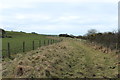 Footpath to Borness Bay