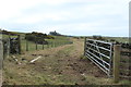 Footpath to Borness Bay