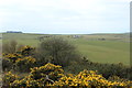 Farmland near Whitehill