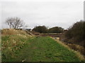 Foredyke Stream