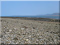 Fryars Bay Shoreline