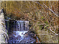 SD6811 : Small Waterfall on Dean Brook at Barrow Bridge by David Dixon